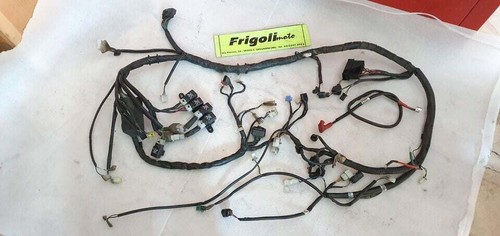 People gti 300 200 v40 - people, v42