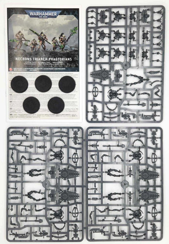 Necron lychguard triarch - lychguard, |
