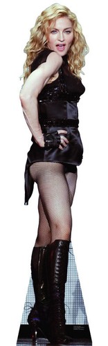 Madonna live lifesize - madonna,