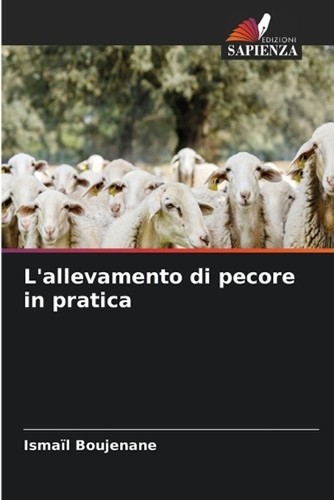 Allevamento pecore in - di,