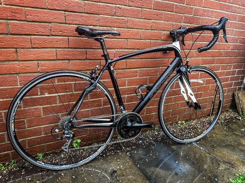 Specialized secteur comp - specialized,