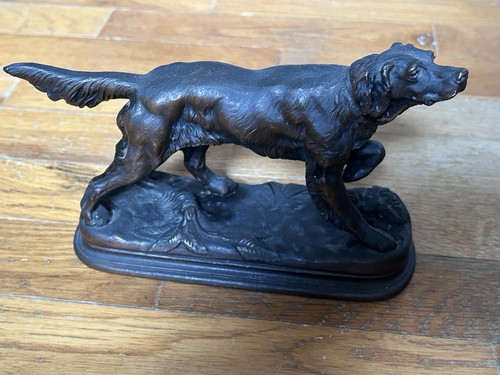 Setter inglese irlandese - setter,