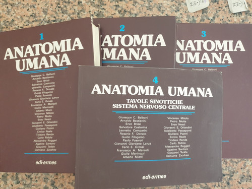 Anatomia umana balboni - anatomia,