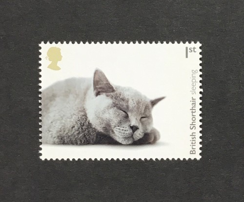 Francobollo gatti british - francobollo,