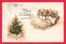 BUON NATALE - ALBERO DI NATALE - CUCCIOLI DI CANE