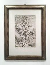 BRUNO  D'ARCEVIA - RARA E SPETTACOLARE...