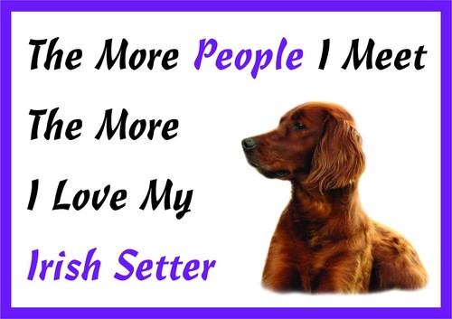 The more love irish - i,