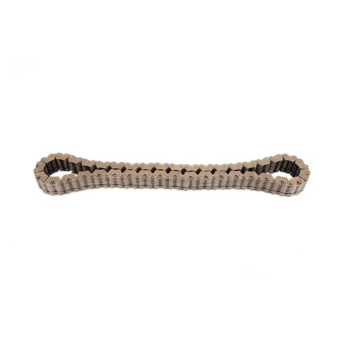 Catena trasf albero motore - catena,