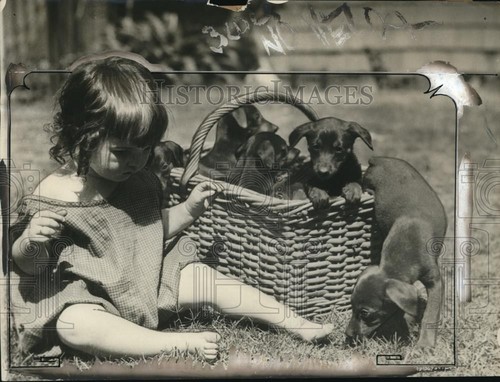 Foto stampa 1925 giovane
