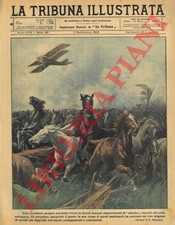 MINARDI A. - Un aereo in Argentina spaventa un enorme branco di cavalli provoca