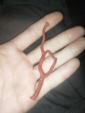 Ramo Di Corallo Rosso Di Alghero (Sardegna)