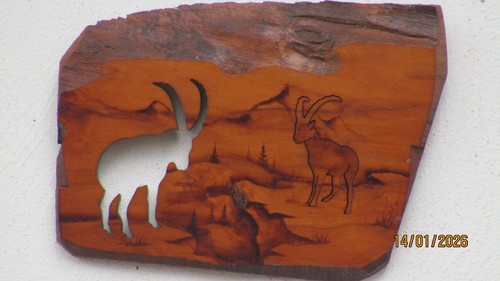 R602 tavolozza legno - r602,