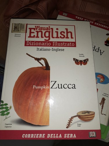 Libro visual english - libro-visual,