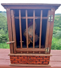 Adorabile antico gallo tedesco