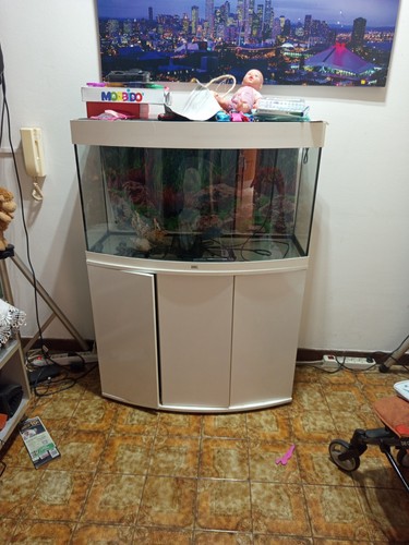 Acquario completo - acquario,