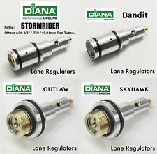 Diana Stormrider, Bandit