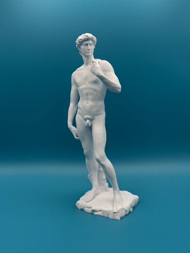 Busto david michelangelo - 3d,