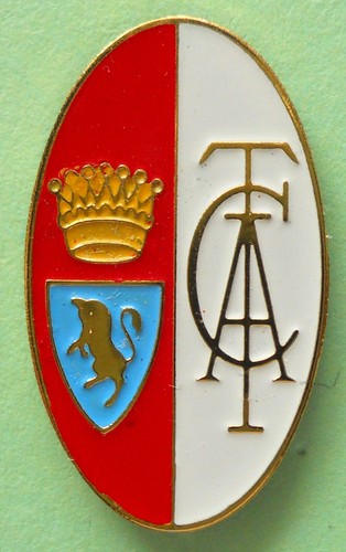 Distintivo spilla pin badge - distintivo,