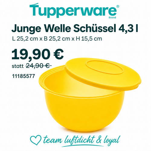 Tupperware ciotola ragazzo
