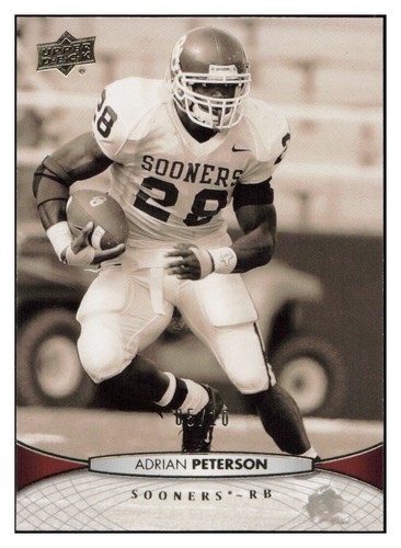 E466 adrian peterson 2012 - e466,