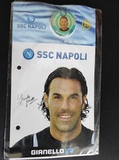 NAPOLI COLLEZIONE  SPILLE