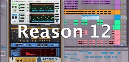 Reason studio versione - 12,