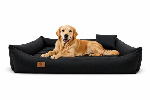 Cuccia per cani divano