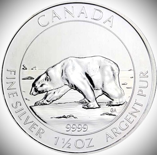 Orso polare canada argento - orso,