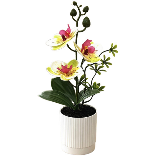 Finta orchidea composizione - finta,