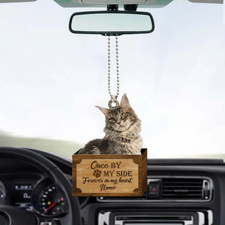 Personalized Maine Coon Cat