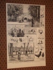 Roma Esposizione Animali