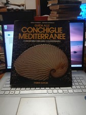Guida alle conchiglie