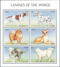 Setter cani Nevis 2000 cane da pastore dalmata chihuahua animali samoiedi animali domestici sht MNH
