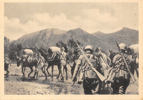 D1434 colonna alpini con - d1434),