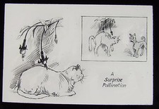 Glass Magic Lantern Slide