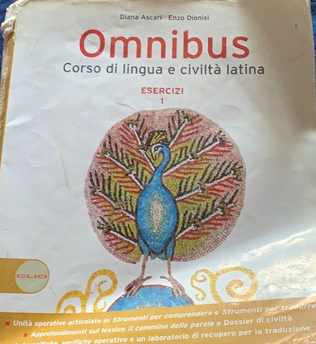 Omnibus corso lingua e - lingua,
