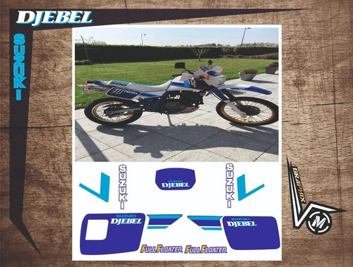 Suzuki 600 - dr,