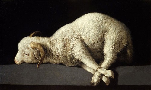 Dipinto olio - ad,