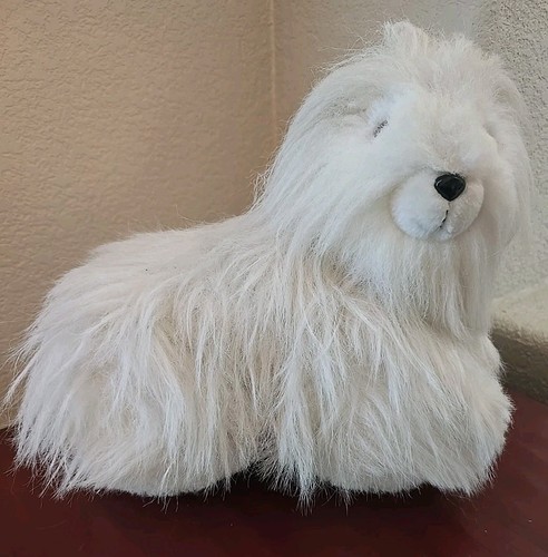 Walking pup maltese - go-go,