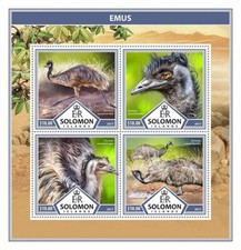 EMUS Emu Flightless Birds/Bird