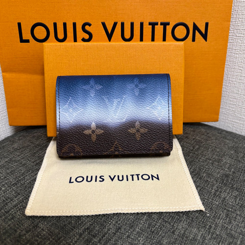 Nuova busta louis vuitton - nuova,