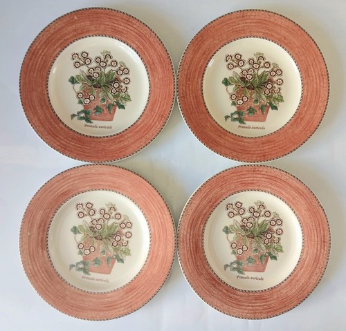 Wedgwood piatti per - wedgwood, insalata