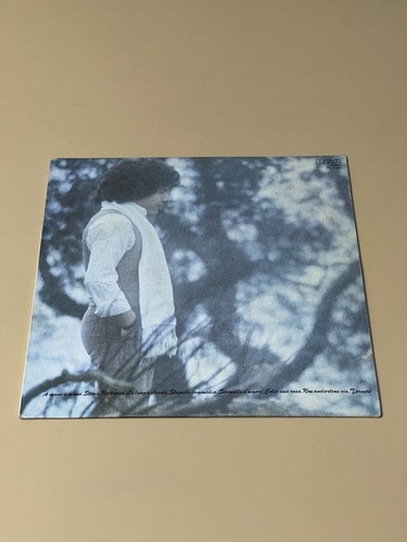 Disco vinile giri lp - disco, 33