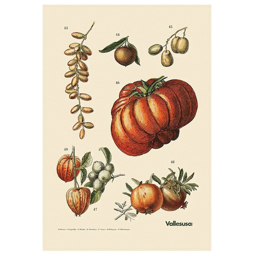 Canovaccio cucina vallesusa - canovaccio,