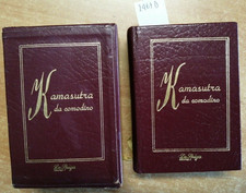 Kamasutra da comodino - Mallnaga Vatsayayana - La Spiga 1991 ILLUSTRATO (24