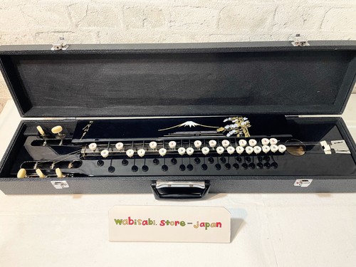 Taishogoto soprano strumento - taishogoto, a