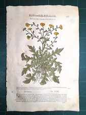 MATTIOLI MATTHIOLI Erbario a