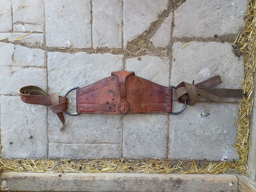 Bareback rig non marcato - bareback,