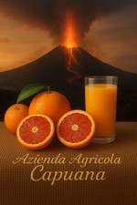 Arance Tarocco Gallo Di Sicilia Dalla Piana Di Catania- 16 kg Da Spremuta