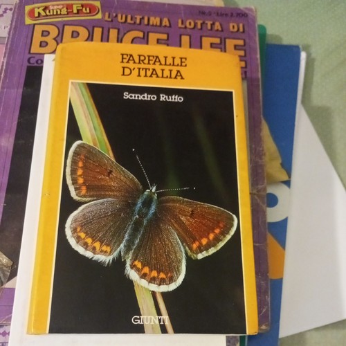 Book libro farfalle - libro,